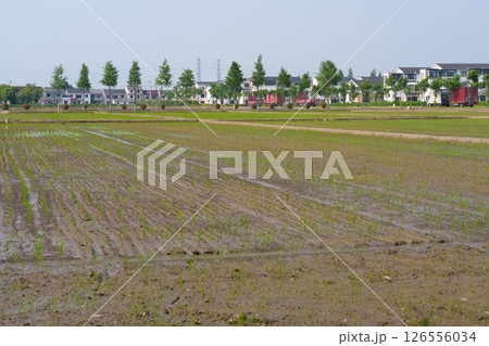 田舎の風景 住まい 家庭 126556034
