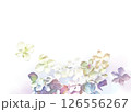 モーヴカラーの紫陽花の花びらの透過フレーム 126556267
