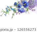 青と紫の花の透過フレーム 126556273
