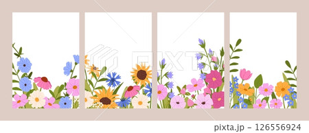 Spring flowers card. Blank floral card templates with wildflowers blooming. Daisy, cornflower and sunflower, meadow herbs floral frame border. Wedding invitations vector set Spring flowers card. Blank floral card templates with wildflowers blooming. Daisy, cornflower and sunflower, meadow herbs floral frame border. Wedding invitations vector set 126556924