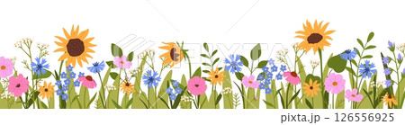 Flower border. Wildflowers blooming with bees and ladybugs in natural grass. Daisy, cornflower and sunflower. Meadow herbs and field wildflowers. Vector horizontal border Flower border. Wildflowers blooming with bees and ladybugs in natural grass. Daisy, cornflower and sunflower. Meadow herbs and field wildflowers. Vector horizontal border 126556925