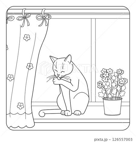 Cute line art illustration of cat sitting on windowsill and licking its paw. Coloring page for kids and adults. Black and white vector with curtain potted flower and window. 126557003