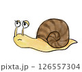 水彩塗りのカタツムリのイラスト 126557304