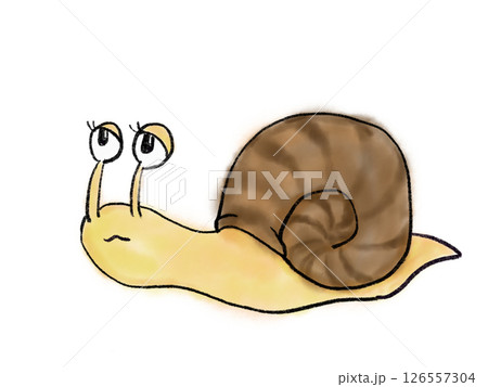 水彩塗りのカタツムリのイラスト 126557304