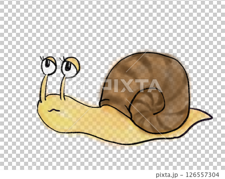 水彩塗りのカタツムリのイラスト 126557304