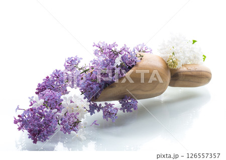 Bouquet of white and purple lilacs on a white background 126557357