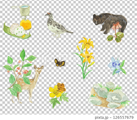 Watercolor painting of climbing flora and fauna image Watercolor painting of climbing flora and fauna image 126557679