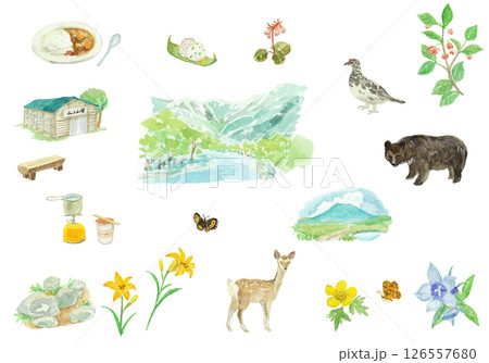 水彩絵の具で描いた登山の動植物のイメージ 126557680