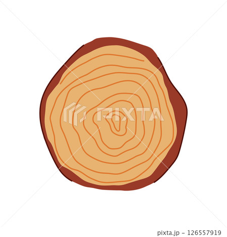 hard wood circle cartoon vector illustration 126557919