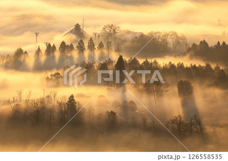 朝霧に包まれた里山 朝霧に包まれた里山 126558535