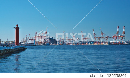 冬 大黒埠頭のキリンの群れ青空に映える（巨大クレーン） 126558861