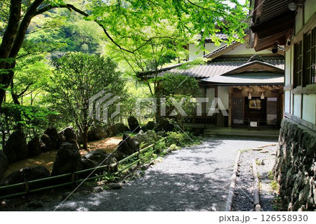 京都・鴨川の水源『貴船川』沿いに建つ… 縁結びの神水【貴船神社】 126558930