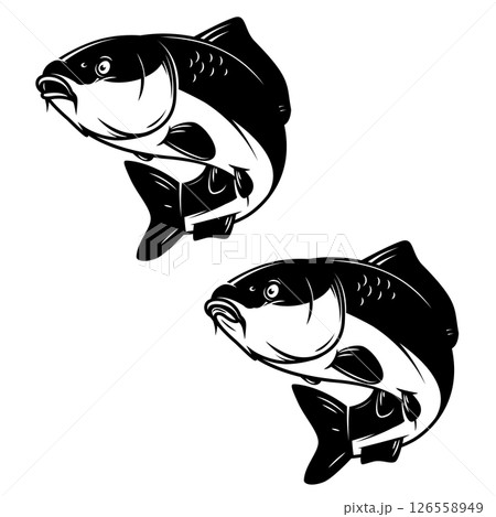 Illustration of carp fish in monochrome style. Carp fish  isolated on white background 126558949