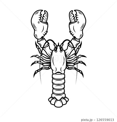 Lobster. Vintage illustration of lobster. Seafood. For logo, label, sign, menu, poster. Lobster. Vintage illustration of lobster. Seafood. For logo, label, sign, menu, poster. 126559013