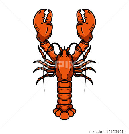 Lobster. Vintage illustration of lobster. Seafood. For logo, label, sign, menu, poster. Lobster. Vintage illustration of lobster. Seafood. For logo, label, sign, menu, poster. 126559014