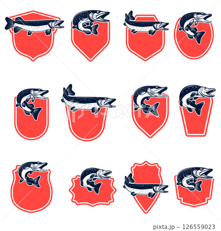 Set of fishing emblems with pike fish Design element for emblem, sign, badge. Vector illustration 126559023