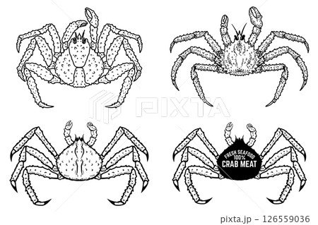 Illustration of crab. Monocrom crab. Seafood. For poster, emblem, menu. Illustration of crab. Monocrom crab. Seafood. For poster, emblem, menu. 126559036