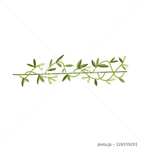 rustic olive border divider cartoon vector illustration rustic olive border divider cartoon vector illustration 126559201