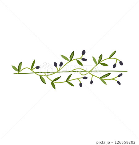 vintage olive border divider cartoon vector illustration vintage olive border divider cartoon vector illustration 126559202