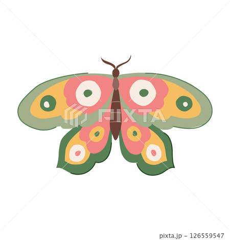 transformation groovy butterfly cartoon vector illustration 126559547