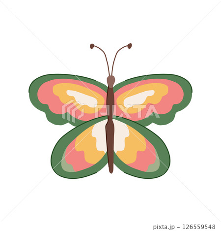 winged groovy butterfly cartoon vector illustration 126559548