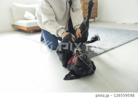 愛犬とリビングでくつろぐ男性 愛犬とリビングでくつろぐ男性 126559598