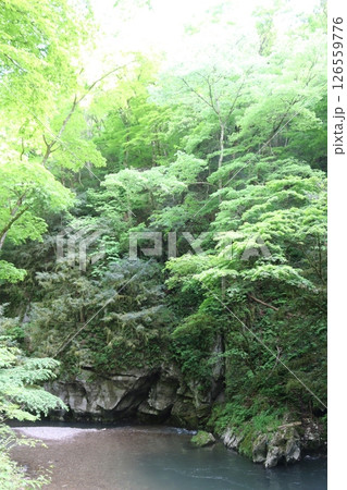 初夏の帝釈峡 初夏の帝釈峡 126559776