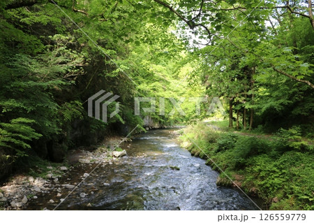 初夏の帝釈峡 初夏の帝釈峡 126559779