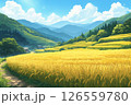 秋の田園風景、豊作、収穫直前の稲がたくさん 126559780