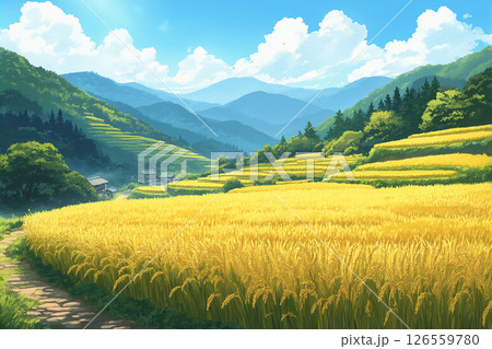 秋の田園風景、豊作、収穫直前の稲がたくさん 秋の田園風景、豊作、収穫直前の稲がたくさん 126559780