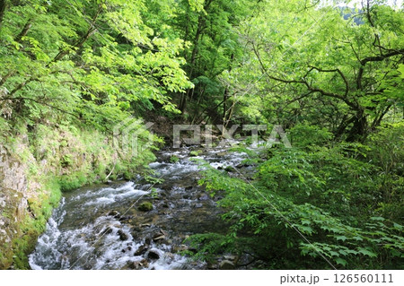 初夏の帝釈峡 初夏の帝釈峡 126560111