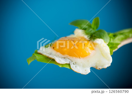 Close-up of healthy food, egg and lettuce on a spatula. On a blue background 126560790