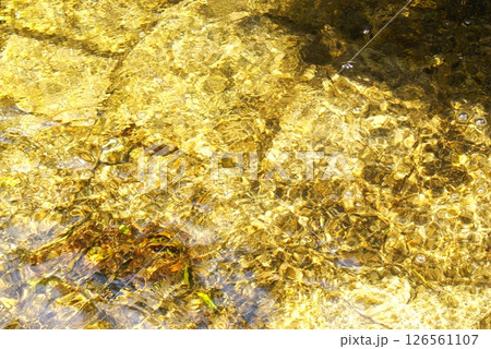 カラー 流れ 川 透明 透過 (2025年5月登録) カラー 流れ 川 透明 透過 (2025年5月登録) 126561107