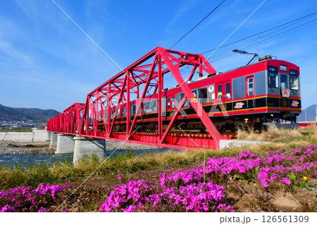 上田電鉄別所線 赤い橋と芝桜 上田電鉄別所線 赤い橋と芝桜 126561309