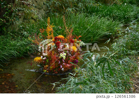 小川に浮かぶフラワーアレンジメント 小川に浮かぶフラワーアレンジメント 126561386