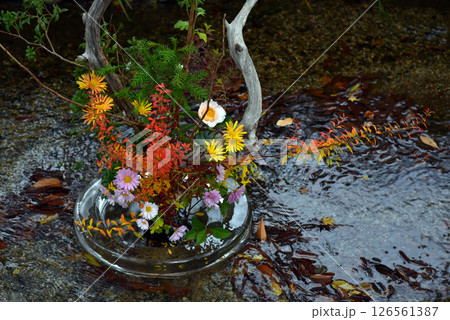 小川に浮かぶフラワーアレンジメント 126561387