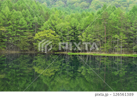 神秘的な御射鹿池 126561389