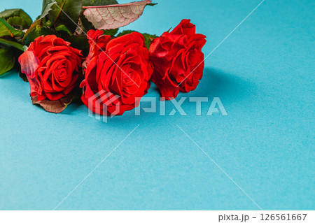 Medical professional examines patients fingers for health 126561667