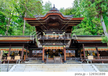 初夏の諏訪大社 下社 秋宮　長野県諏訪郡 126561699