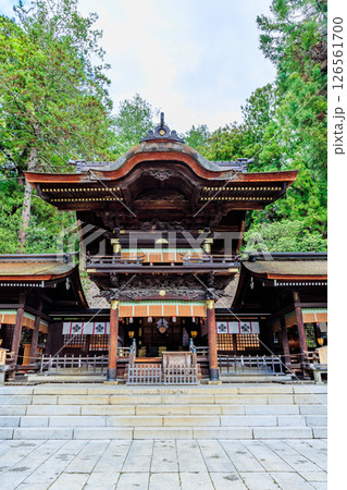 初夏の諏訪大社 下社 秋宮 長野県諏訪郡 初夏の諏訪大社 下社 秋宮 長野県諏訪郡 126561700