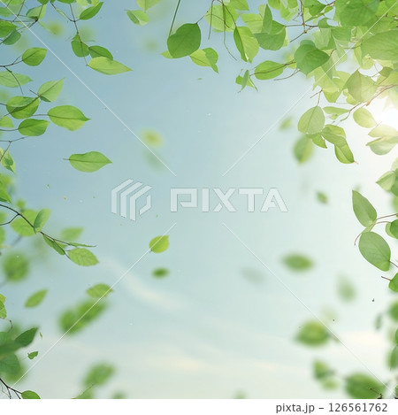 青空を背景に舞う新緑の葉 126561762