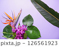 トロピカルフラワー背景素材 126561923