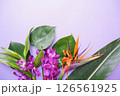 トロピカルフラワー背景素材 126561925