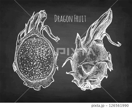 Dragon fruit and half chalk sketch. 126561990