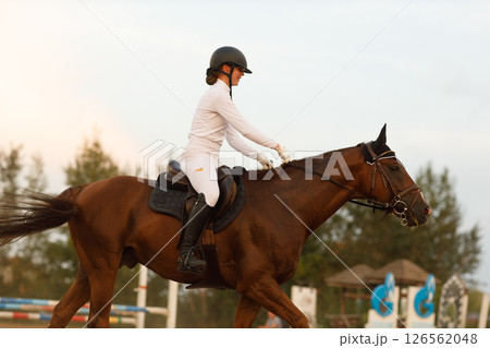 Dressage horse and rider in uniform during equestrian jumping competition Dressage horse and rider in uniform during equestrian jumping competition 126562048