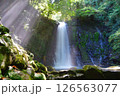 神秘的な夏の滝の風景【熊本県白糸の滝】 126563077