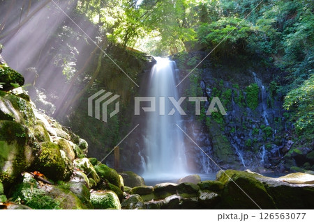 神秘的な夏の滝の風景【熊本県白糸の滝】 126563077