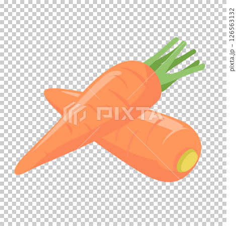 淡い色使いのシンプルなニンジンのベクターイラスト。 126563132