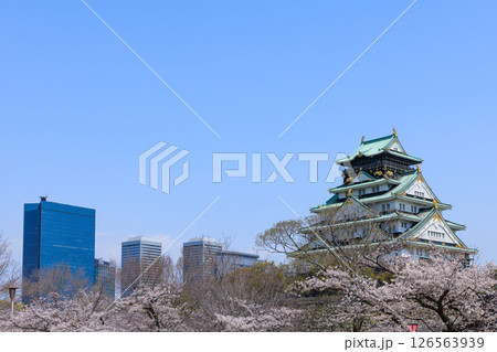 春の大阪城と満開の桜 (大阪府大阪市中央区) 春の大阪城と満開の桜 (大阪府大阪市中央区) 126563939