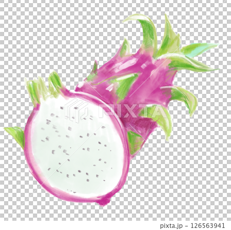 新鮮で美味しそうなドラゴンフルーツの水彩イラスト 126563941